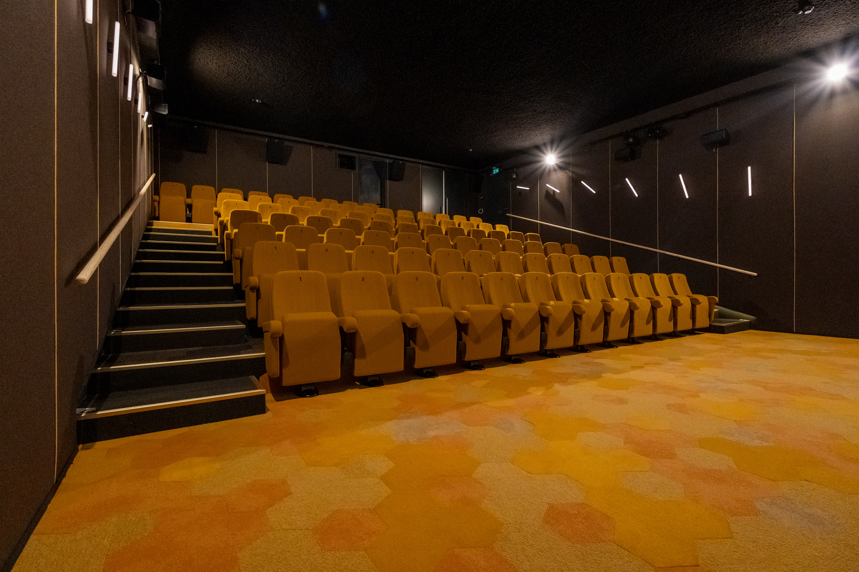 FilmTheater FilmkrantDag-003.jpg